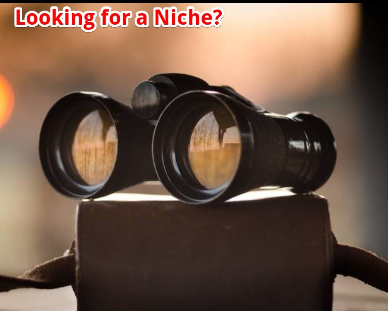 Looking for a niche